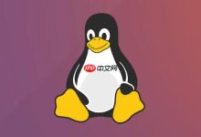 Linux网络性能评估思路_吞吐与延迟解析【指导】-linuxcto运维