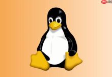 kubectl get pods -A 显示大量 Terminating 卡住的 pod 怎么强制清理-linuxcto运维