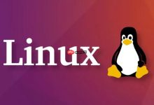 Linux 服务器 /dev/shm 被塞满导致数据库或 Java 进程崩溃-linuxcto运维